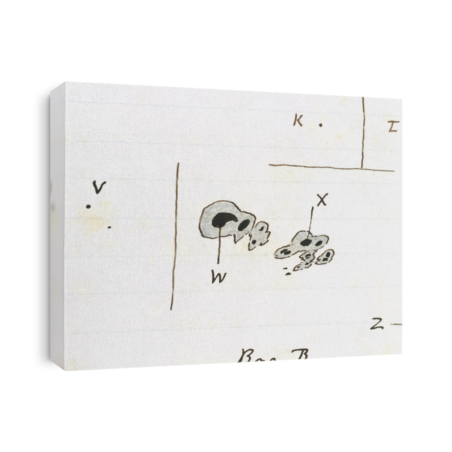 Carrington's flare. Diagram of the solar flare and associated sunspot group observed by Richard Carrington on 1st September 1859. The flare caused a large electromagnetic storm on Earth on the 2nd September, causing auroras in sky and sending the relatively new telegraph system in to meltdown.