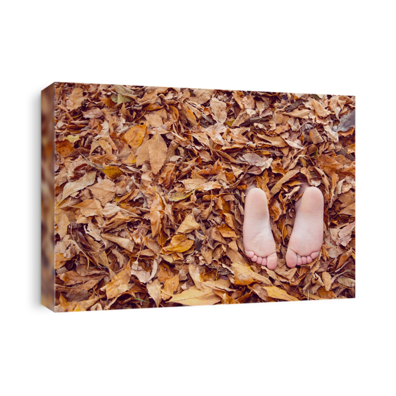 Barefoot child's feet buried in a pile of fall leaves